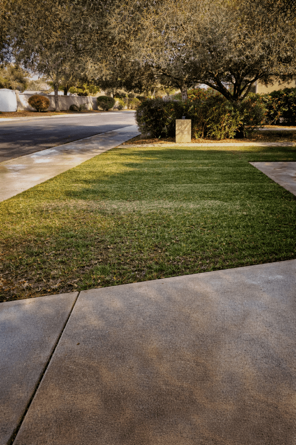 Torres Landscaping project result